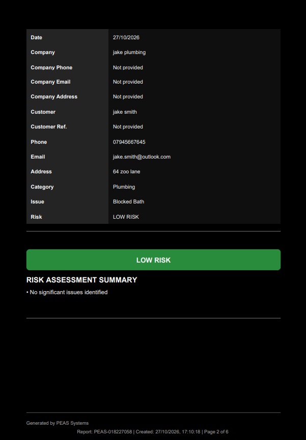 PEAS Engineer report — page 2 of 5