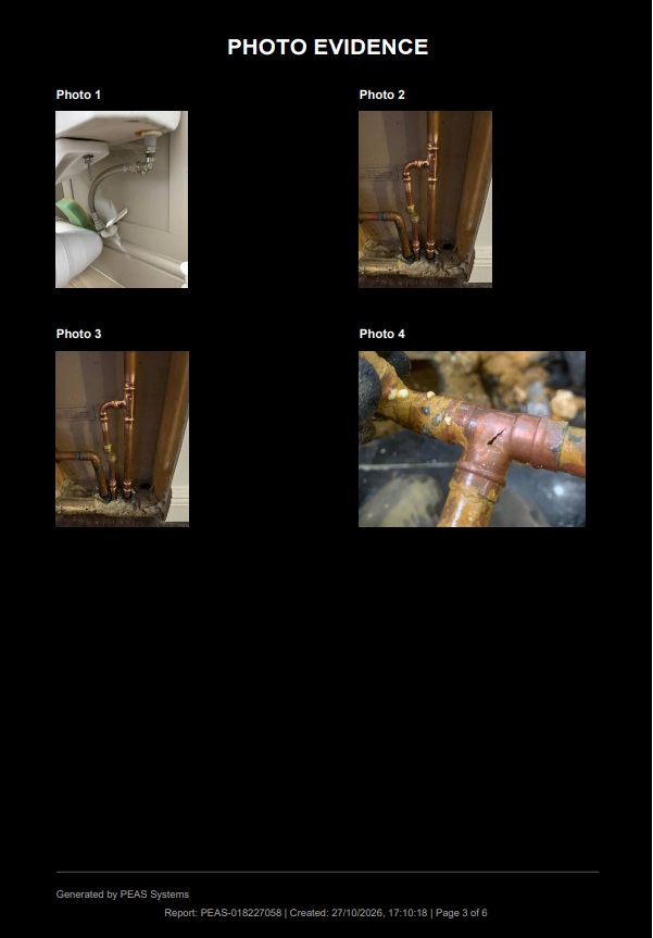 PEAS Engineer report — page 3 of 5
